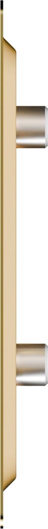 Металлическая ERA 1717MER Beige фото#3