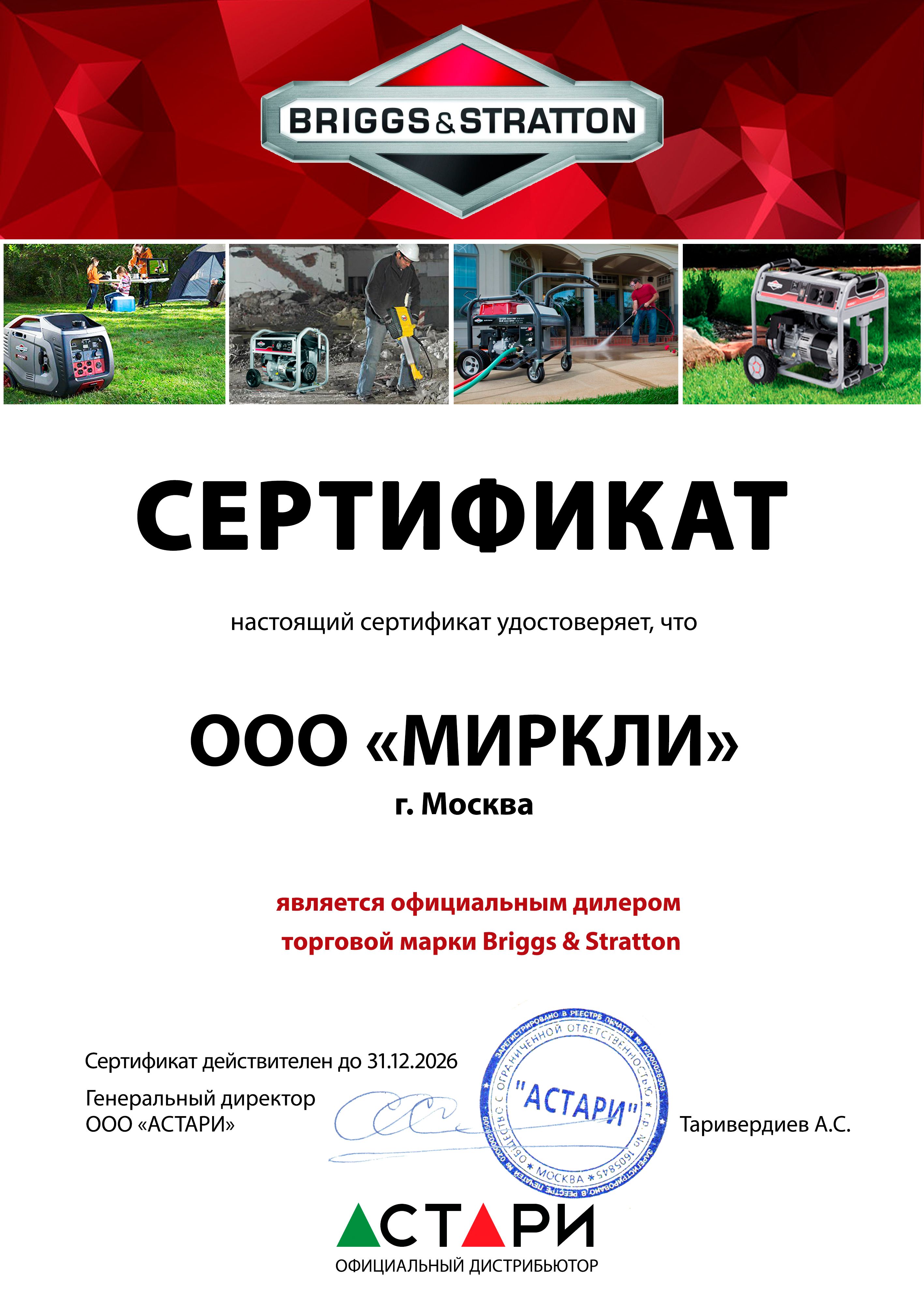 Бензиновый генератор Briggs & Stratton 8500 EA фото#4