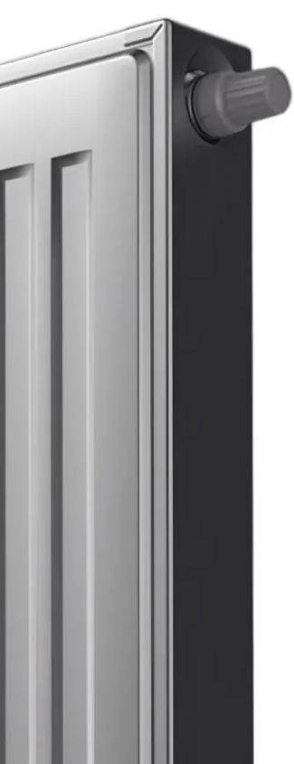Стальной панельный радиатор Royal Thermo VENTIL COMPACT 22-500-1000 Silver Satin фото#2