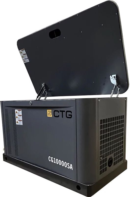 Газовый генератор CTG CG17000SA фото#3