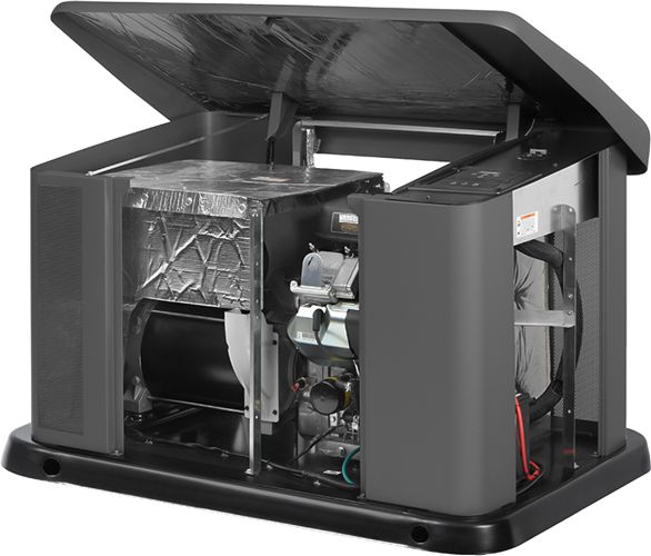 Генератор газовый Briggs & Stratton G110 фото#4