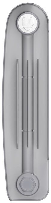 Биметаллический радиатор Royal Thermo Eclipse 300 Серебристый VR80 - 12 секц. фото#2