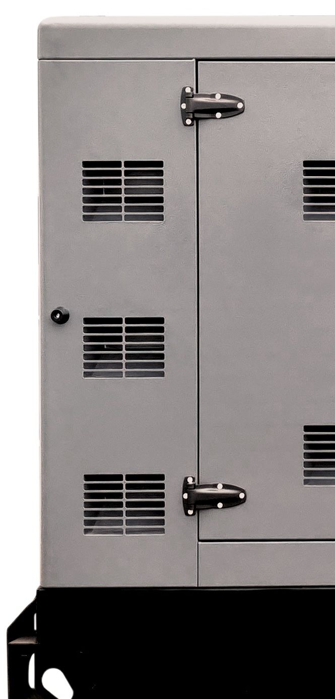 Газовый генератор CTG 250CG в кожухе с АВР фото#3