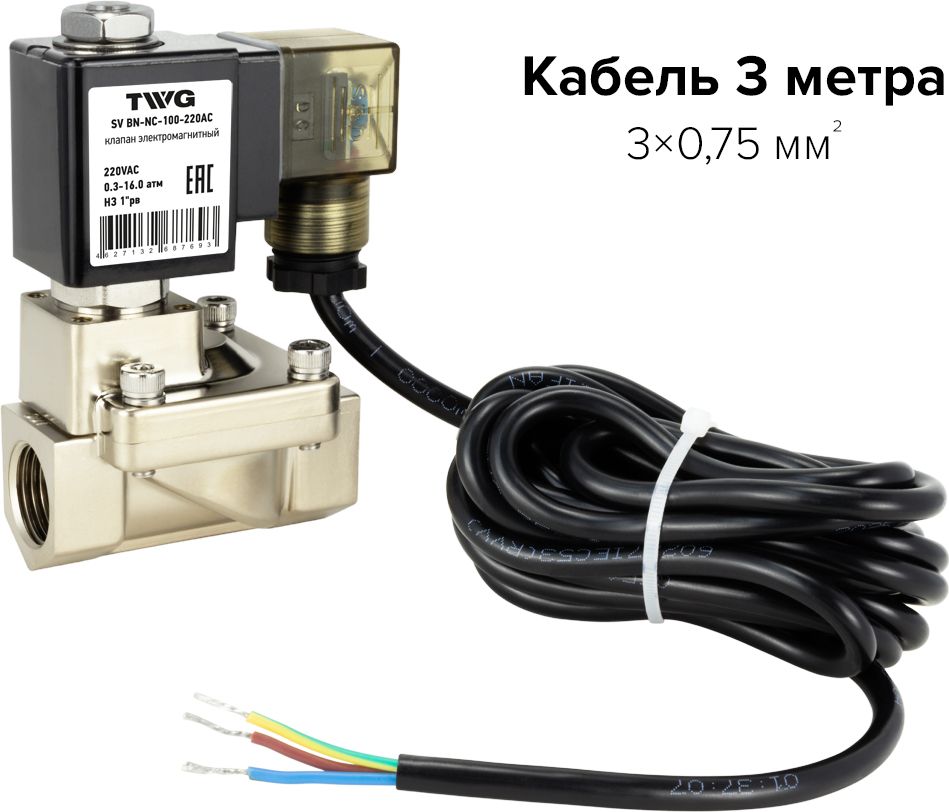 Кран с электроприводом TWG SV BN-NC-100-220AC фото#2