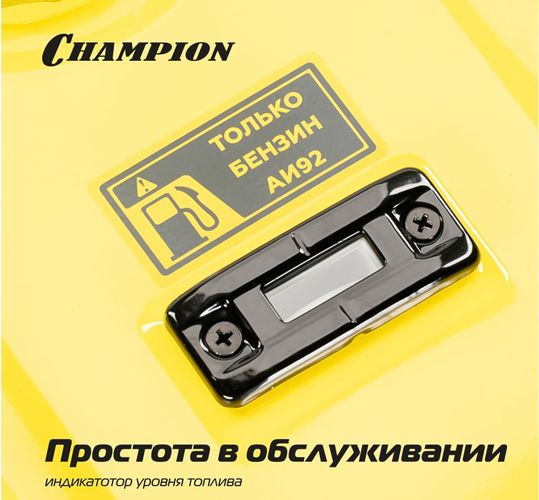 Бензиновый генератор CHAMPION GG7501E-3 фото#18