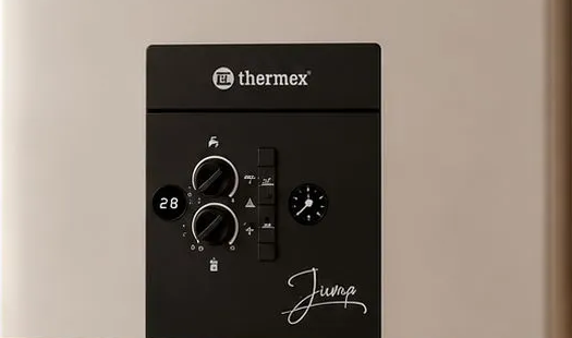 Настенный газовый котел Thermex Джамп (Jump) F10 фото#6