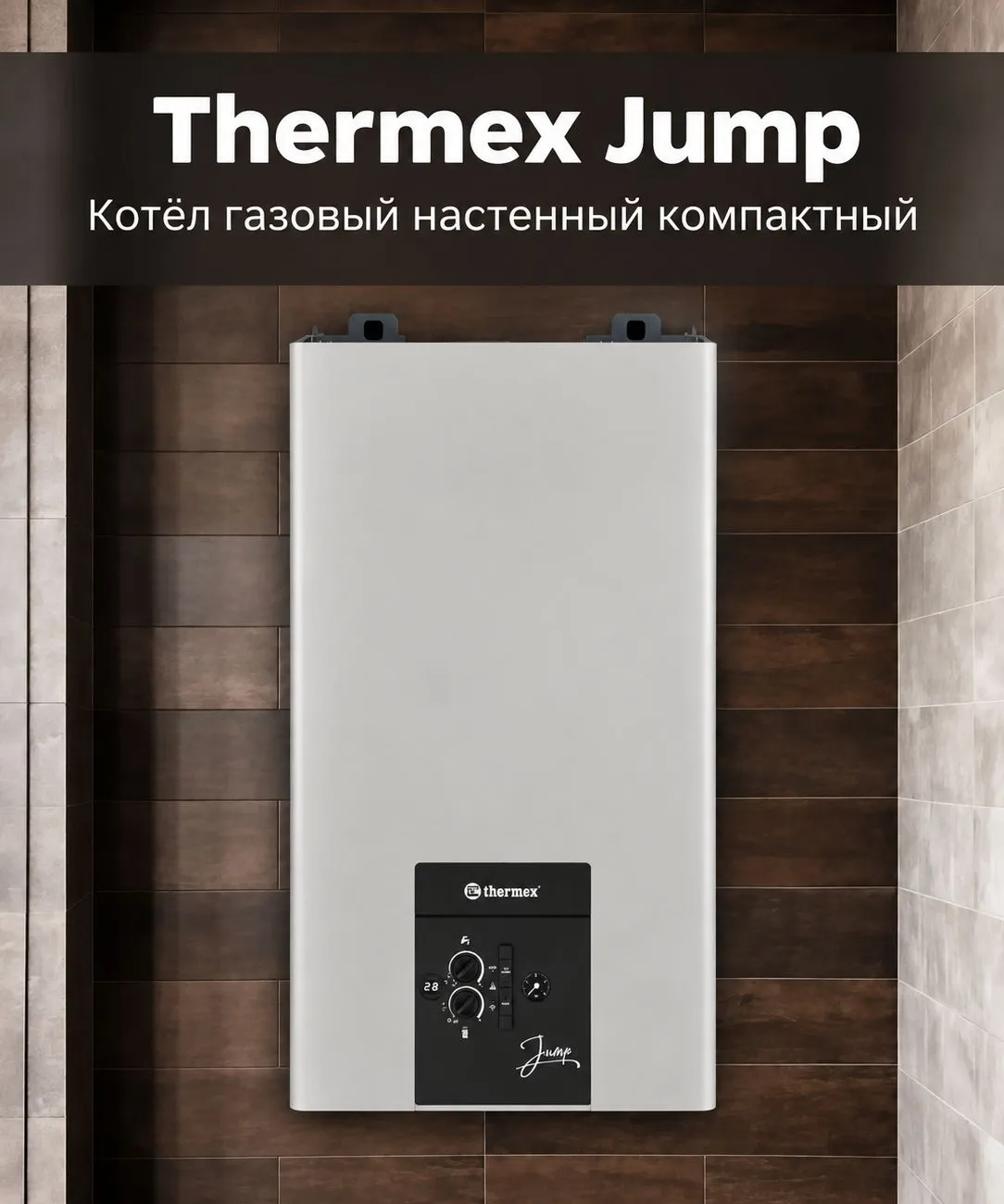 Настенный газовый котел Thermex Джамп (Jump) F10 фото#8
