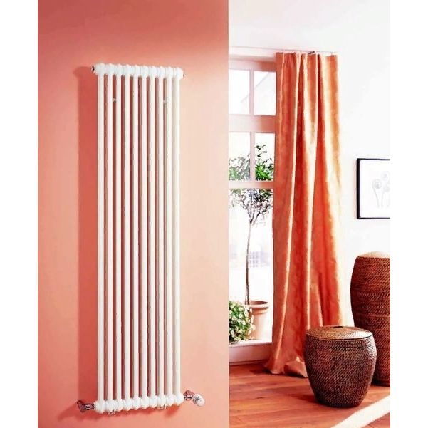 Стальной трубчатый радиатор 2-колончатый IRSAP TESI 21800/06 T30 (RR218000601A430N01) фото#5