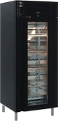 Холодильный шкаф Полюс M700GN-1-G-MHC 9005