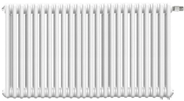 Стальной трубчатый радиатор 2-колончатый IRSAP TESI 0565/2-24 T25 Cod01 (RR2.0565.24.01.0025)