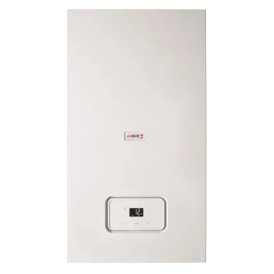 Настенный газовый котел Protherm Рысь К 18/25 MKV (0010020287)
