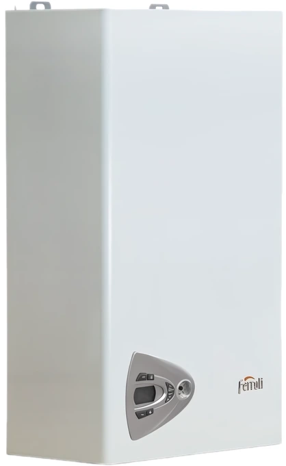 Настенный газовый котел Ferroli Vitabel F20 FL