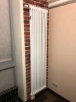 Стальной трубчатый радиатор 2-колончатый Arbonia 2180/10 N69 твв RAL 9016