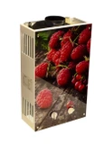 Газовый проточный водонагреватель WERTRUS 10EG BERRY (Wert Rus)