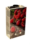 Газовый проточный водонагреватель WERTRUS 10EG BERRY (Wert Rus)
