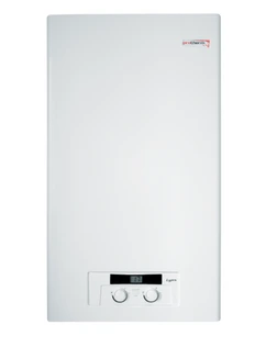 Настенный газовый котел Protherm Рысь HK 11 (0010016518)