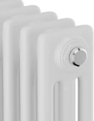 Радиатор отопления Royal Thermo Insignia C3030 - 42 секц. RAL9016, боковое 1/2 фото#2