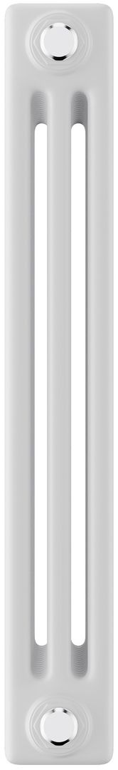 Радиатор отопления Royal Thermo Insignia C3050 - 22 секц. RAL9016, боковое 1/2 фото#2