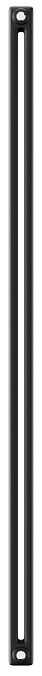 Радиатор отопления Royal Thermo Insignia C2180 - 10 секц. RAL9005m, боковое 1/2 фото#2