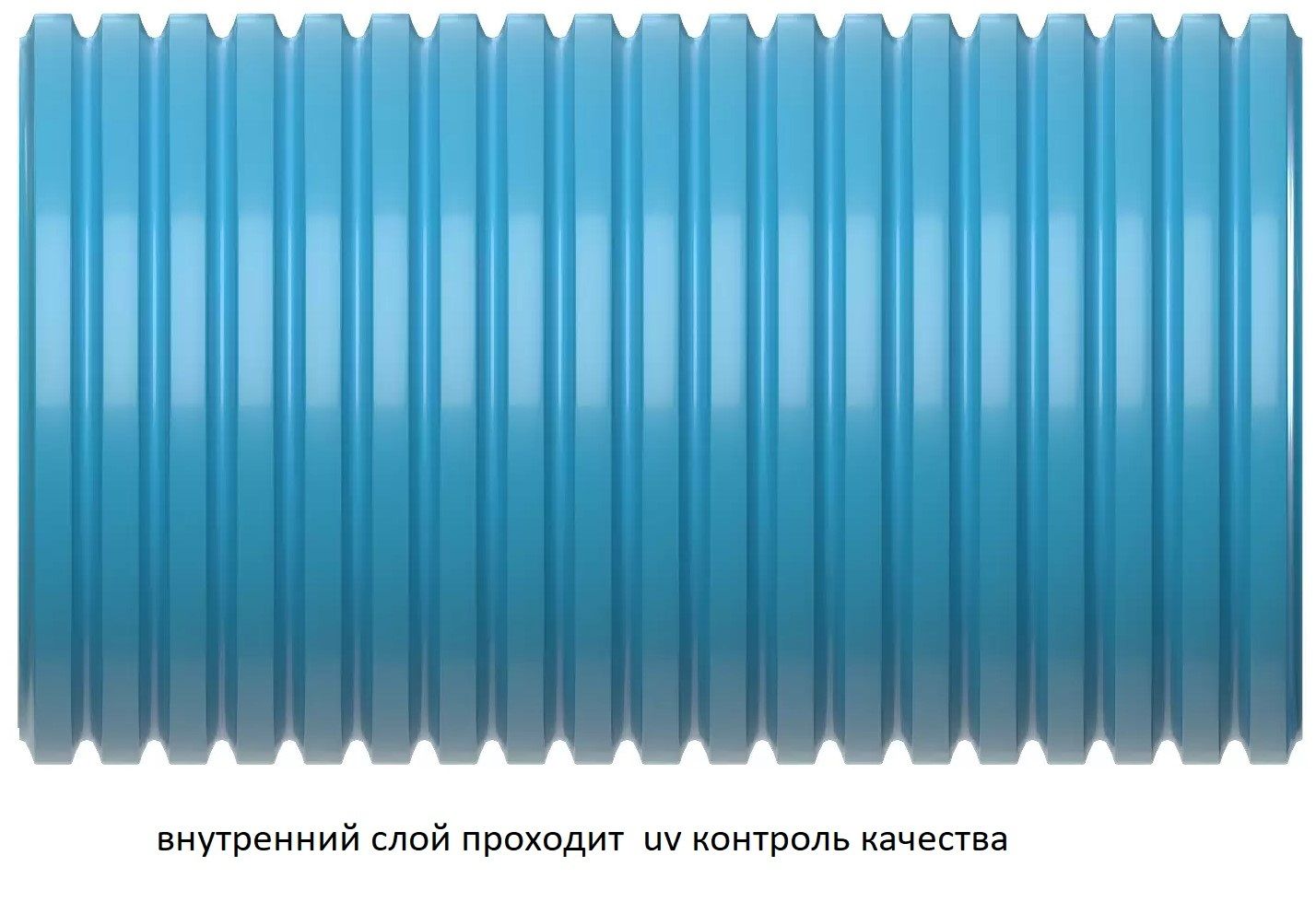 Пластиковый Sinbo 10x75мм фото#4